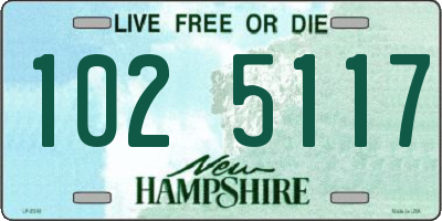 NH license plate 1025117