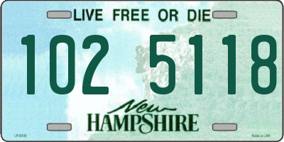 NH license plate 1025118