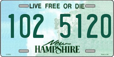 NH license plate 1025120