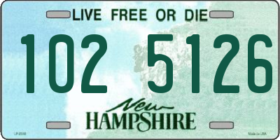 NH license plate 1025126