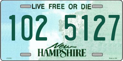 NH license plate 1025127