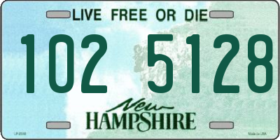 NH license plate 1025128