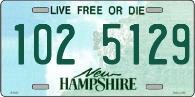 NH license plate 1025129
