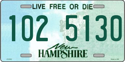 NH license plate 1025130