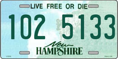 NH license plate 1025133