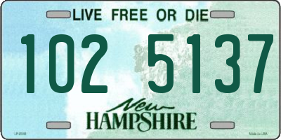 NH license plate 1025137