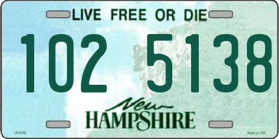 NH license plate 1025138