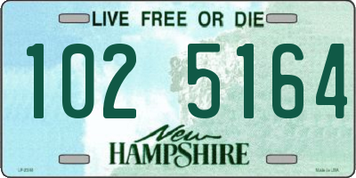 NH license plate 1025164