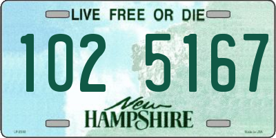 NH license plate 1025167
