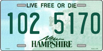 NH license plate 1025170