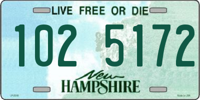 NH license plate 1025172