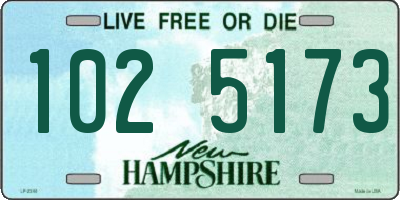 NH license plate 1025173