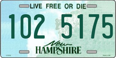 NH license plate 1025175