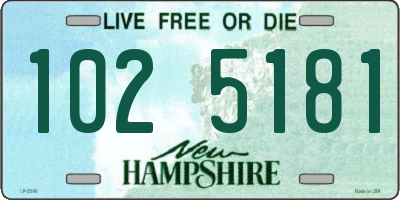 NH license plate 1025181