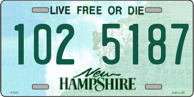 NH license plate 1025187