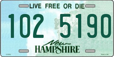NH license plate 1025190