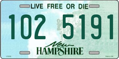 NH license plate 1025191