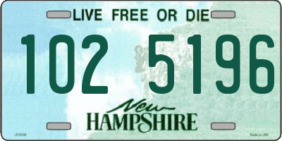 NH license plate 1025196