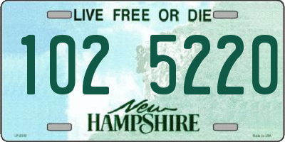 NH license plate 1025220