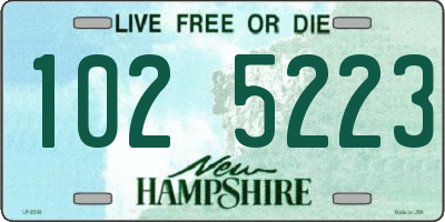 NH license plate 1025223