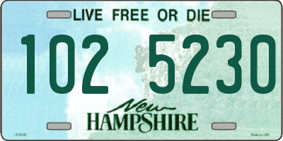 NH license plate 1025230