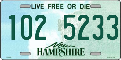 NH license plate 1025233