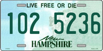 NH license plate 1025236