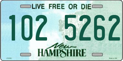 NH license plate 1025262