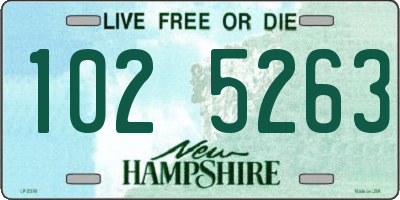 NH license plate 1025263