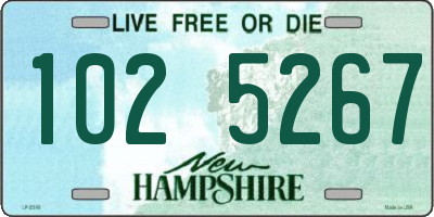 NH license plate 1025267
