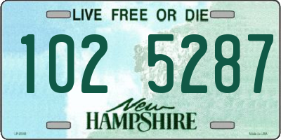 NH license plate 1025287