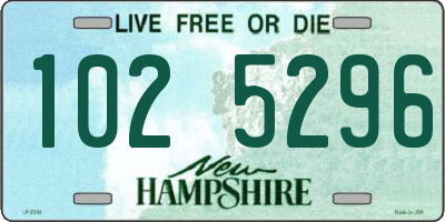NH license plate 1025296