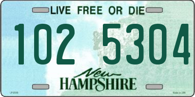 NH license plate 1025304