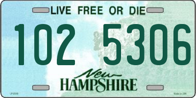 NH license plate 1025306