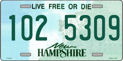 NH license plate 1025309
