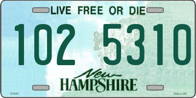 NH license plate 1025310