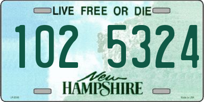 NH license plate 1025324