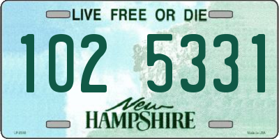 NH license plate 1025331