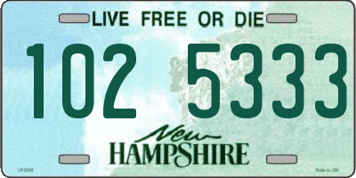 NH license plate 1025333