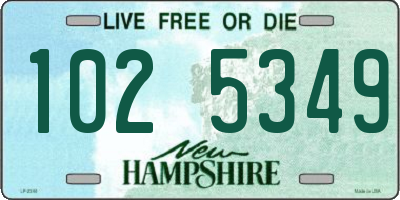 NH license plate 1025349