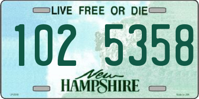 NH license plate 1025358