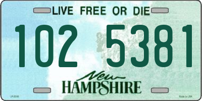 NH license plate 1025381