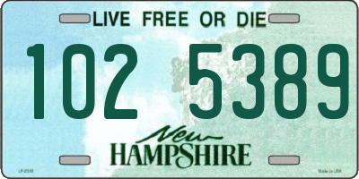 NH license plate 1025389