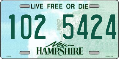 NH license plate 1025424