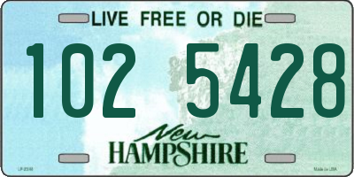 NH license plate 1025428