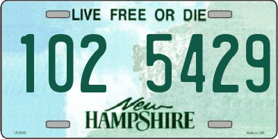 NH license plate 1025429