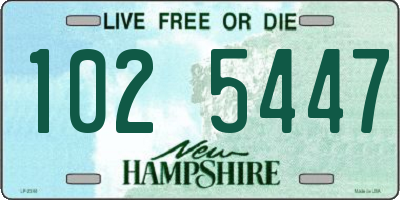 NH license plate 1025447
