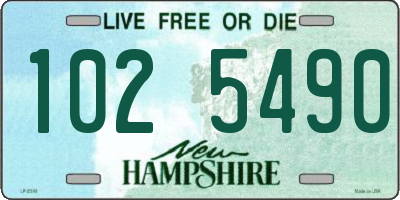 NH license plate 1025490