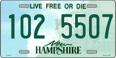 NH license plate 1025507