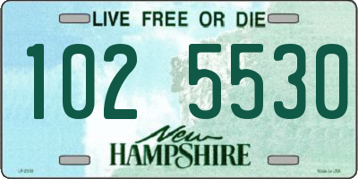 NH license plate 1025530